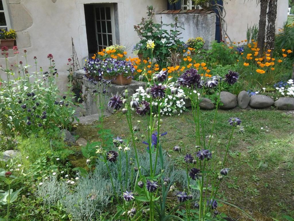 Chambres D'Hotes Aroha Sorde-l'Abbaye Exterior photo